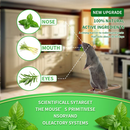 ✨Buy 1 Get 1 Free 🐀12 Pack Rat Repellent Balls With Peppermint Oil
